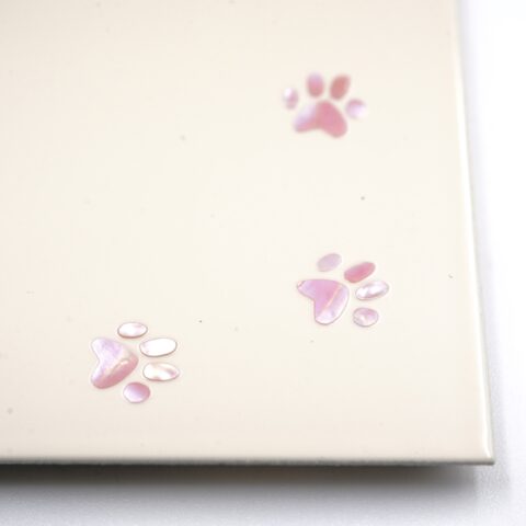 20067004