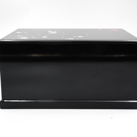 20123008